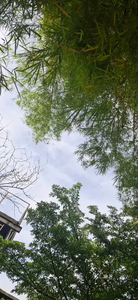 Dicari guru les privat khusus cwe