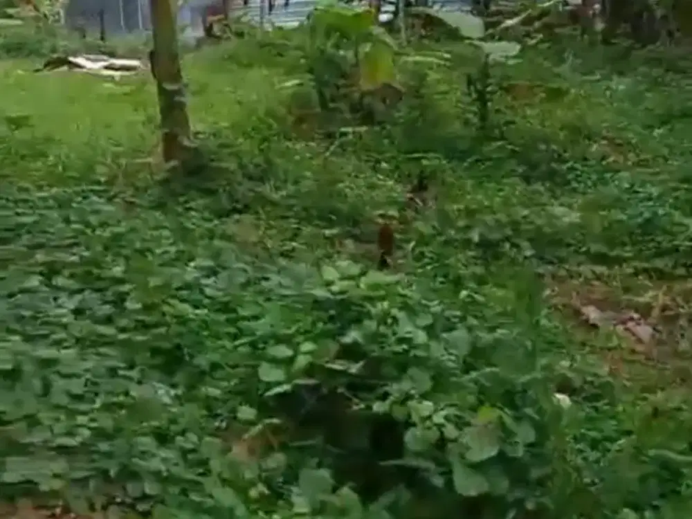 DiJual Tanah Luas Murah Strategis di Pakis Salatiga