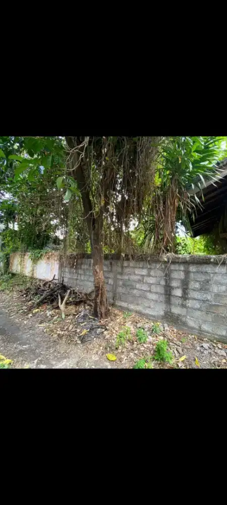Dijual tanah murah,8,15 are di sidakarya dekat renon dan sanur