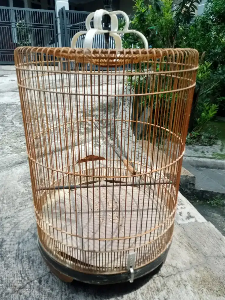 Jual santai,,kandang no 1 bekas murai