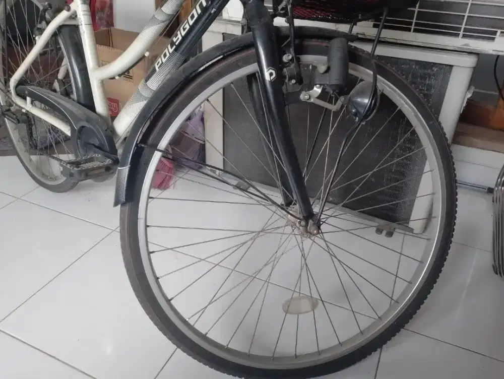 Sepeda polygon siera