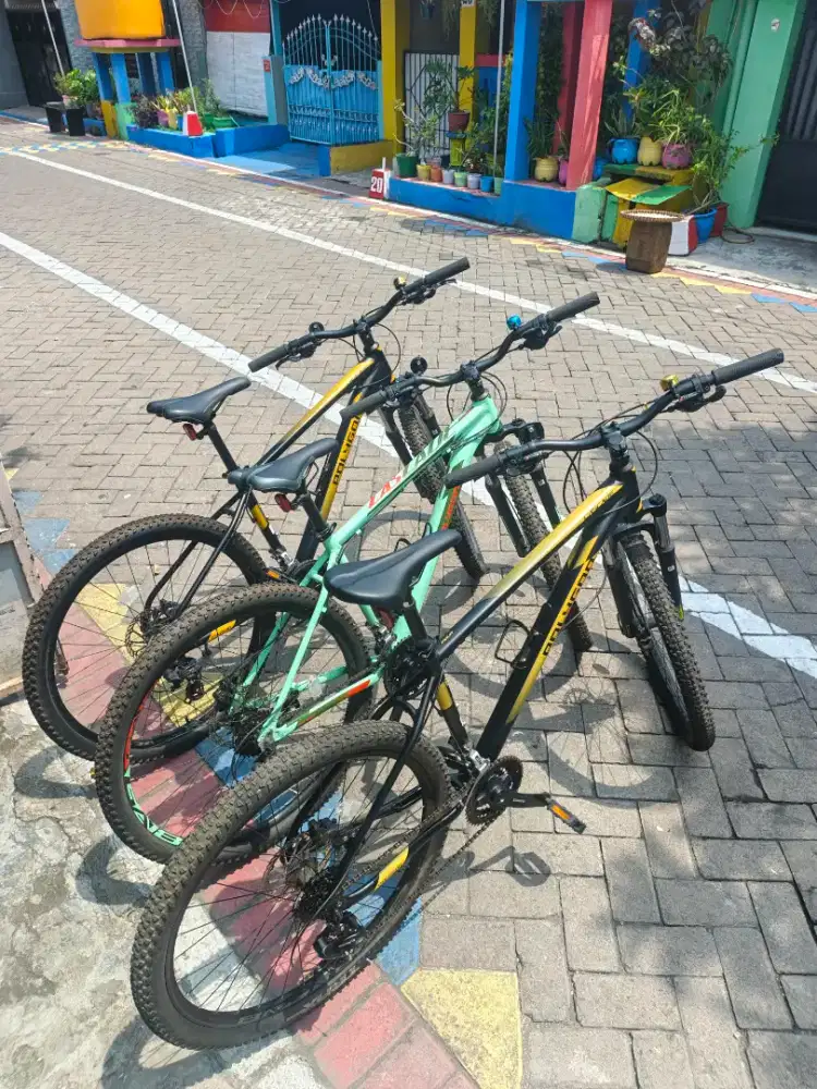 POLYGON CASECADE FOUR