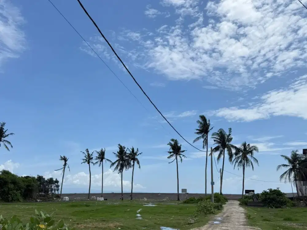 Jual Freehold Tanah Los Pantai Saba Gianyar Bali Dekat Ke Pantai Purnama, Pantai Sanur Bali.