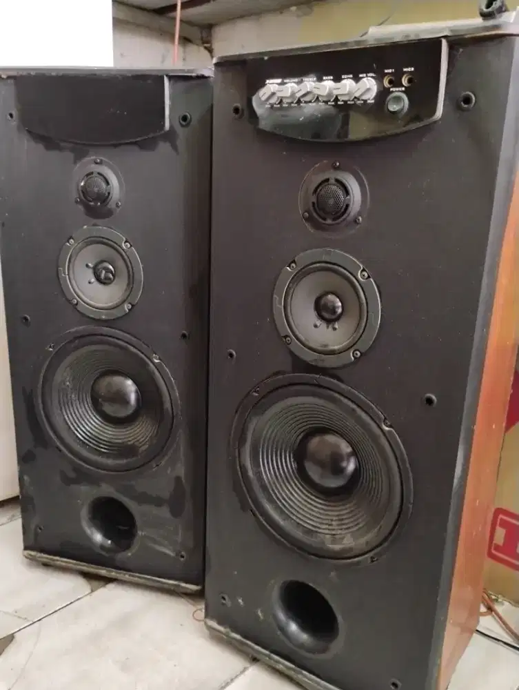 SpeakerAktif SHARP 10 inch (CBOX-ASP1001)