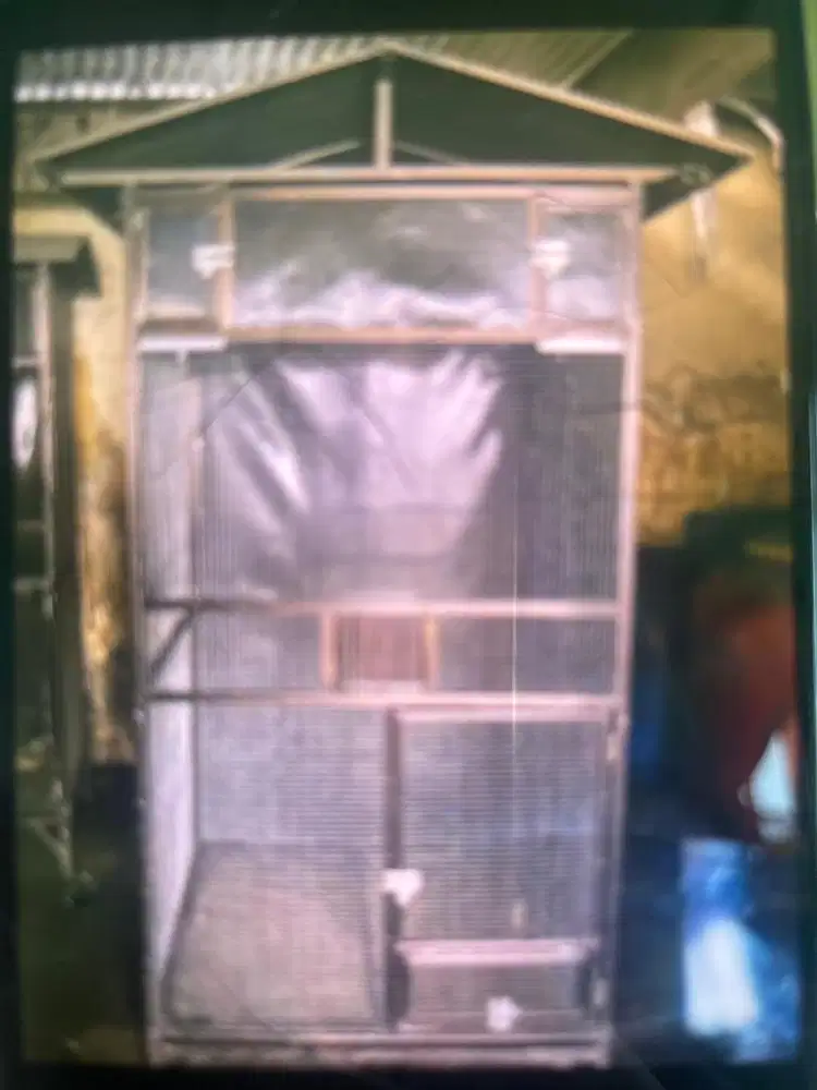 Kandang ternak burung