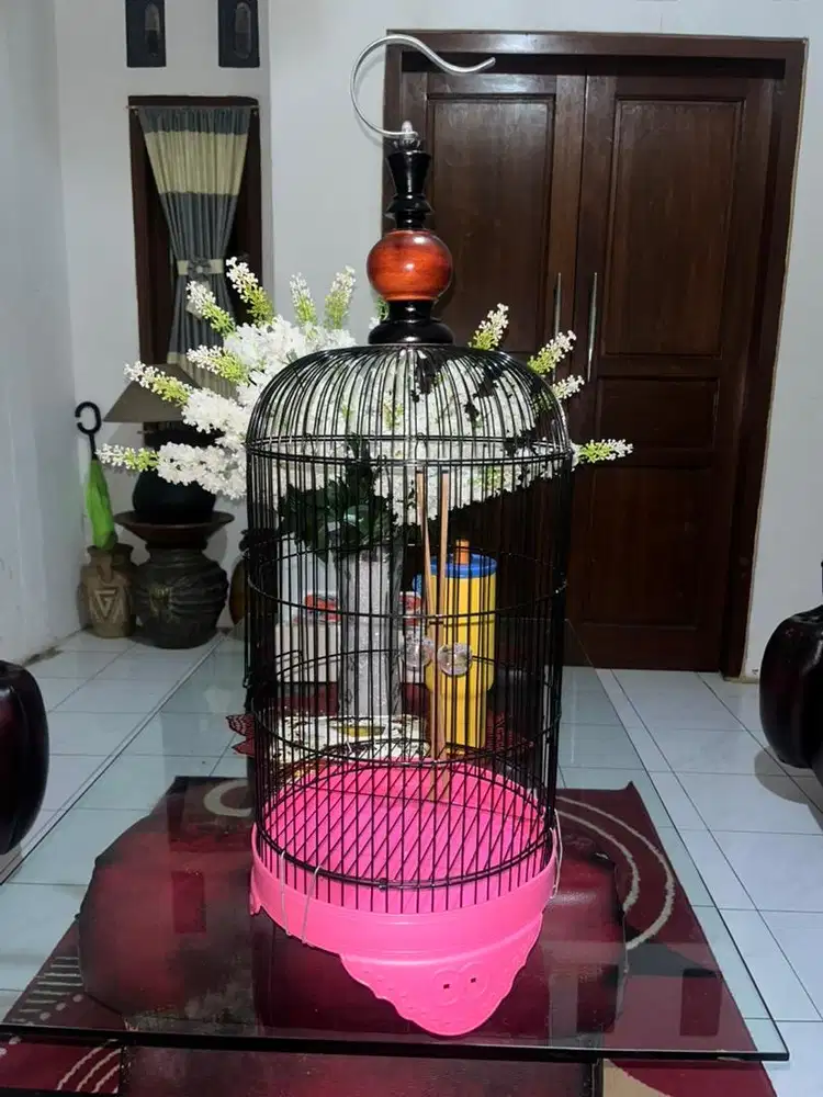 Kandang burung (Burcil fullset)