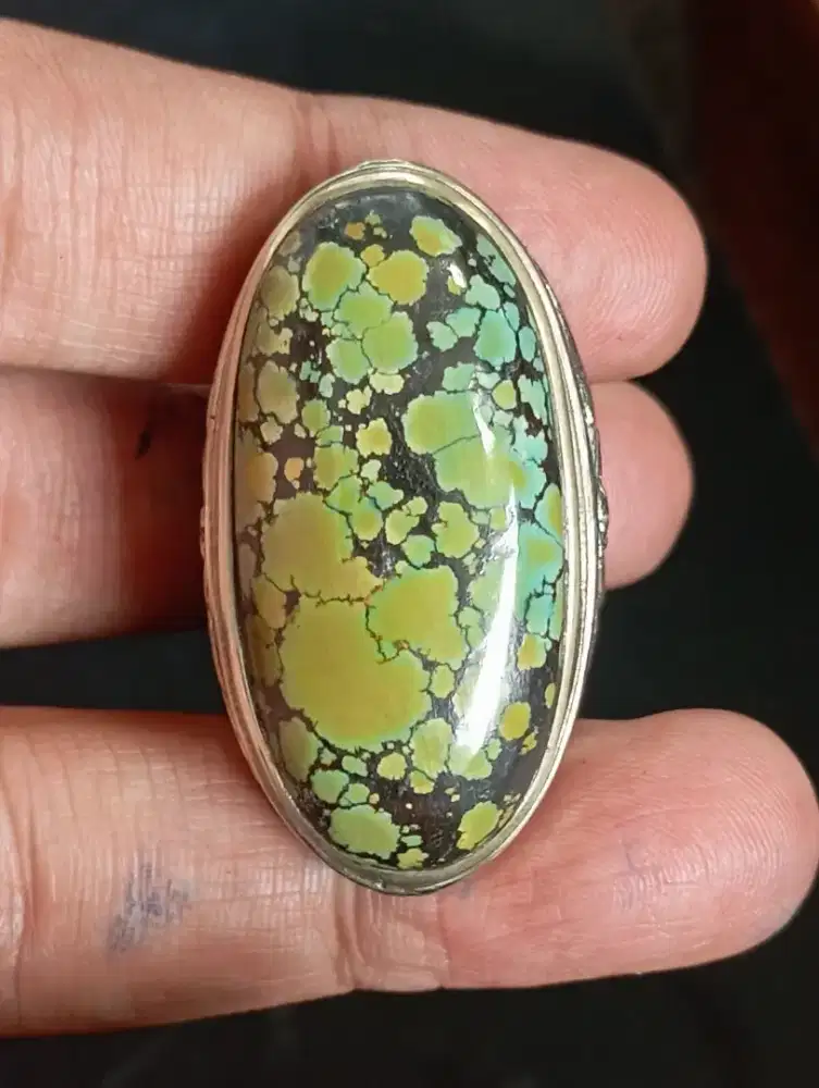 Pirus Hubei/Xinjiang Lawas Dwi Warna