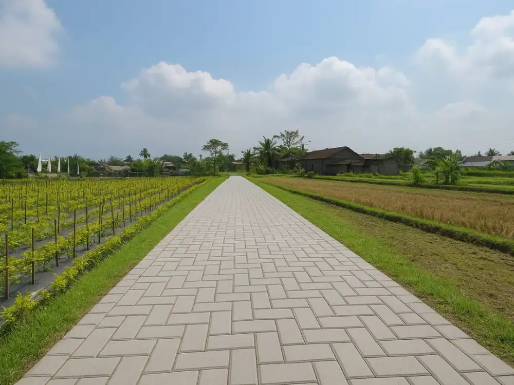 DiJual Tanah Jogja SHM Pekarangan, Tepi Jalan Pandowoharjo Sleman