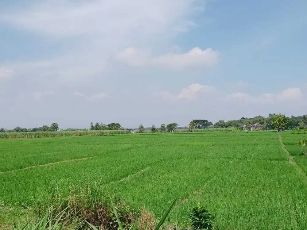 Dijual Tanah Luas Pinggir Jalan Raya Area Sudirman Madiun