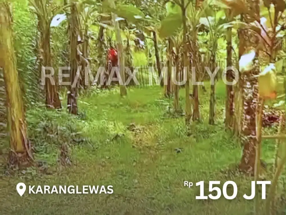 Tanah Perkebunan Dijual Dekat Area Wisata Karanglewas