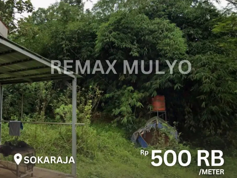 Tanah Dijual Murah! Wilayah Pemukiman Cocok Untuk Hunian