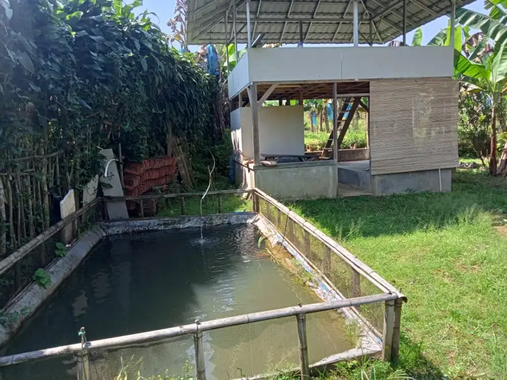 Dijual Tanah Murah Untuk Villa Pinggir Jalan Desa di Kiarapedes Purwakarta