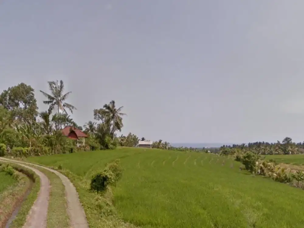 Tanah sawah di Mambang Selemadeg Tabanan Bali