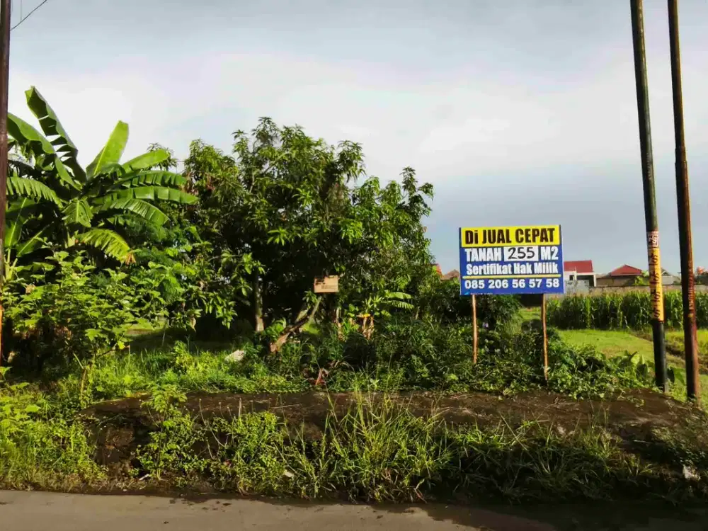 Tanah Timur SMA 5 Cirebon