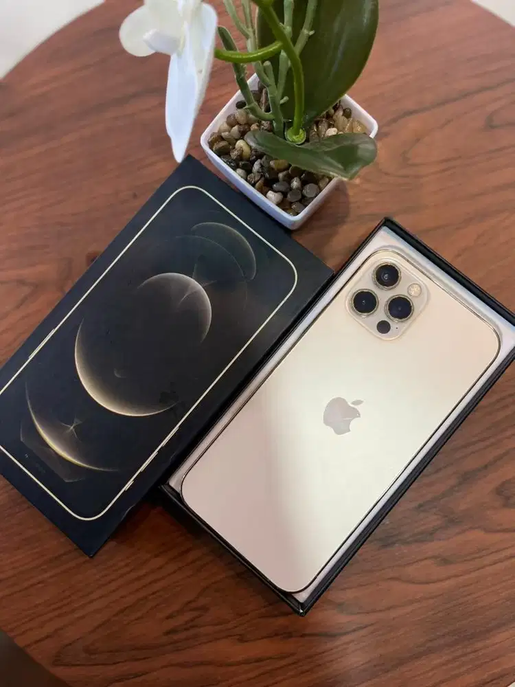 IP 12 PRO 256gb INTER FULLSET