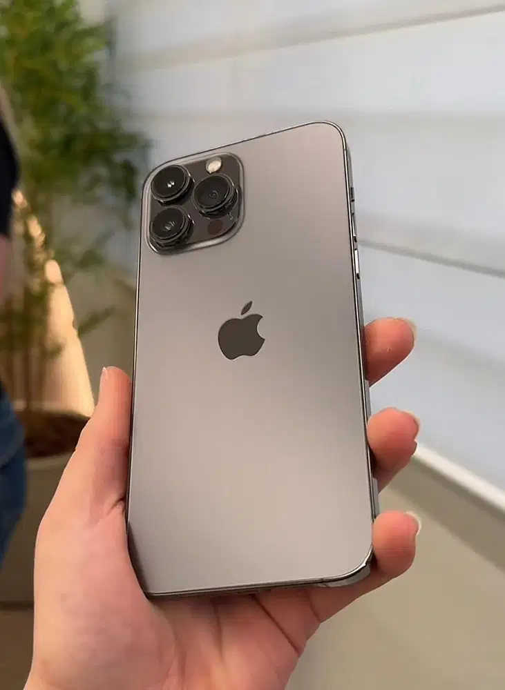 iPhone 13 Promax 256gb Ex Inter