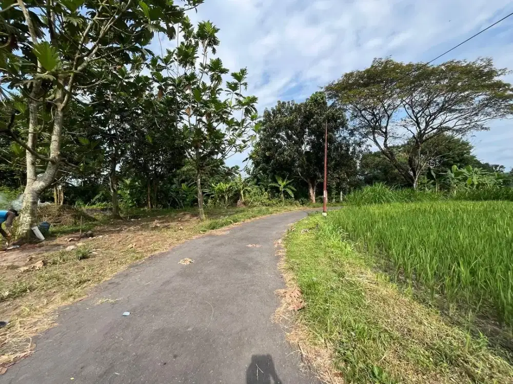 Dekat RS Puri Husada Jual Tanah Jogja Sertifikat SHM di Jl. Rejodani