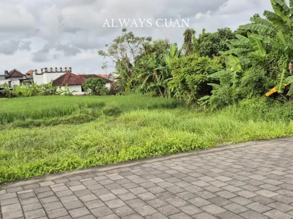 Tanah datar siap dibangun area kerobokan