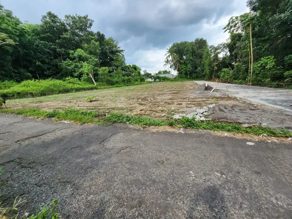 Jl. Pandanaran Sleman Tanah Jogja Untuk Kost Dekat Sekolah Al-Azhar Cairo