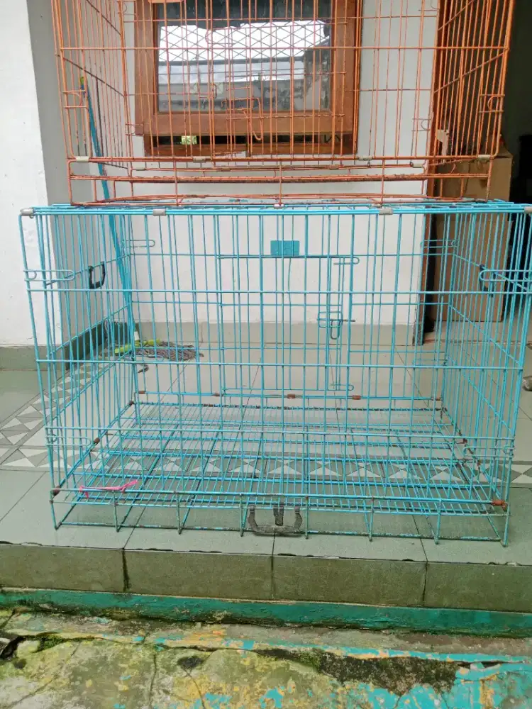 Jual duakandang kucing