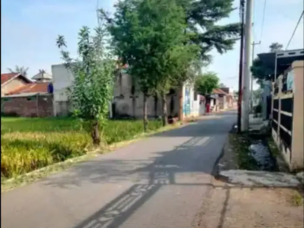 Di jual tanah tanah untuk perumahan jalan terusan cikoneng 1.5 jt 1m2