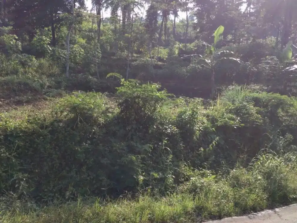 Dijual Tanah satu hamparan di leuwiliang kawalu tasikmalaya