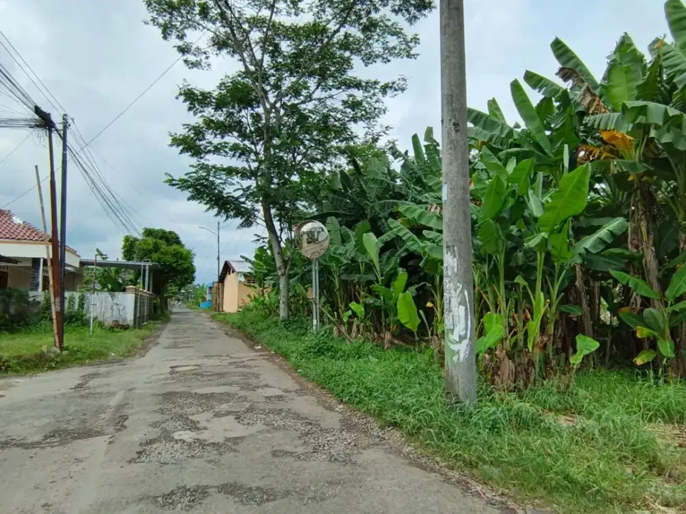 Jual Tanah Dibawah Harga Pasar Cocok Untuk Cluster Dekat RS Margono