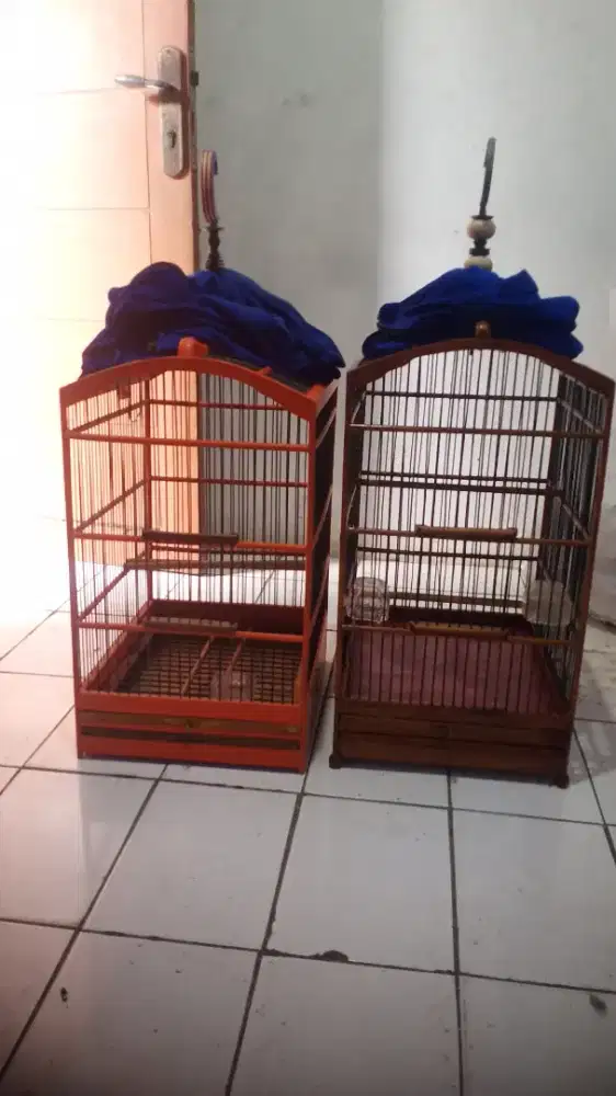 Kandang kotak no 3 + kerodong