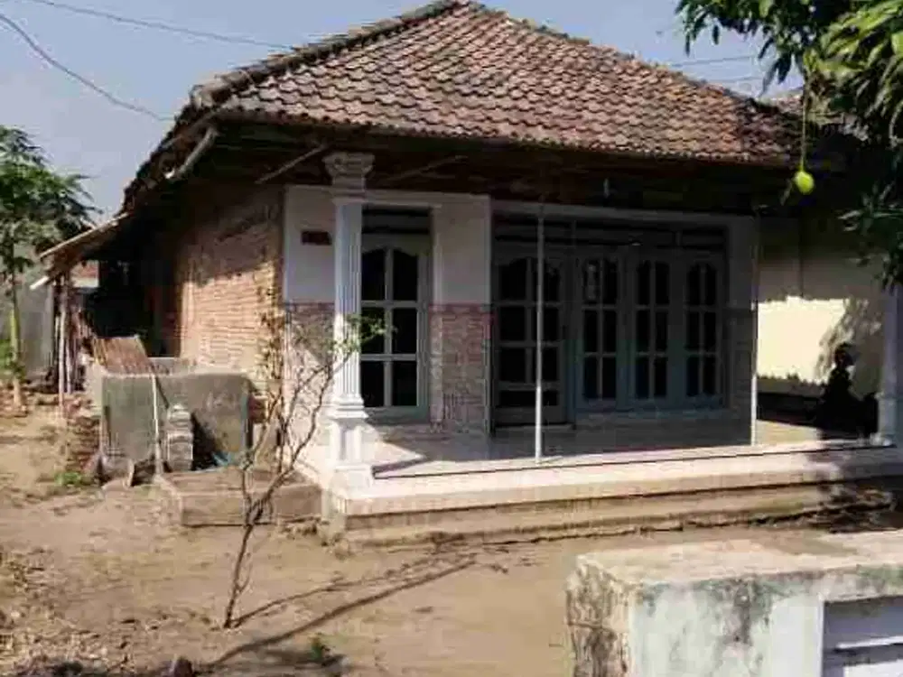 DIJUAL RUMAH LELANG DI KEMBANGRINGGIT KEC PUNGGING MOJOKERTO