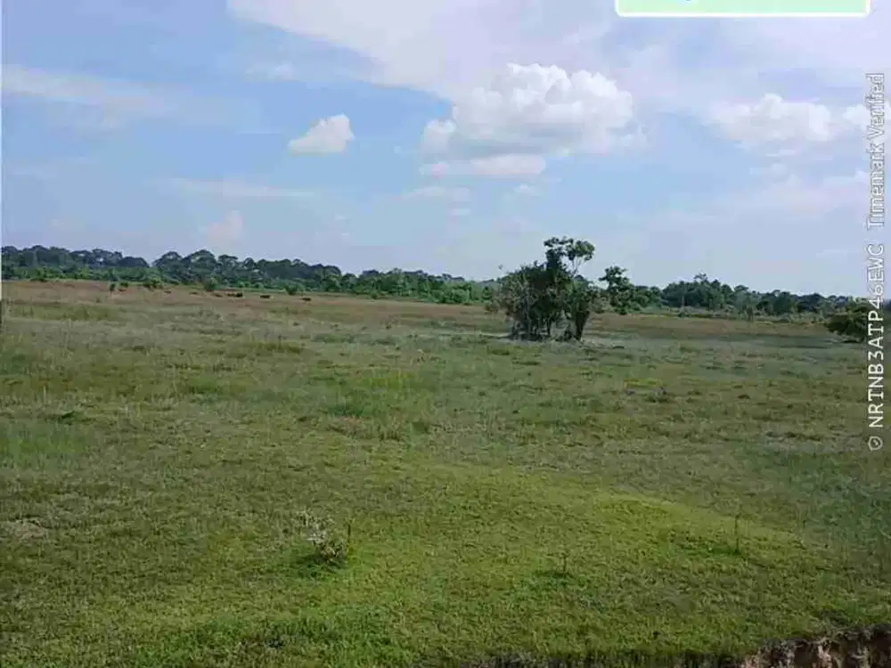 Lahan Kosong Murah 200 hektar di Mersam