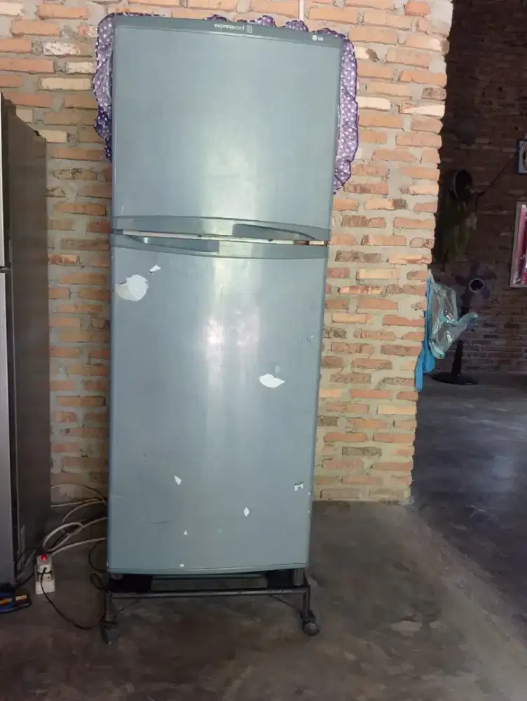 Kulkas LG expresscool 2 pintu