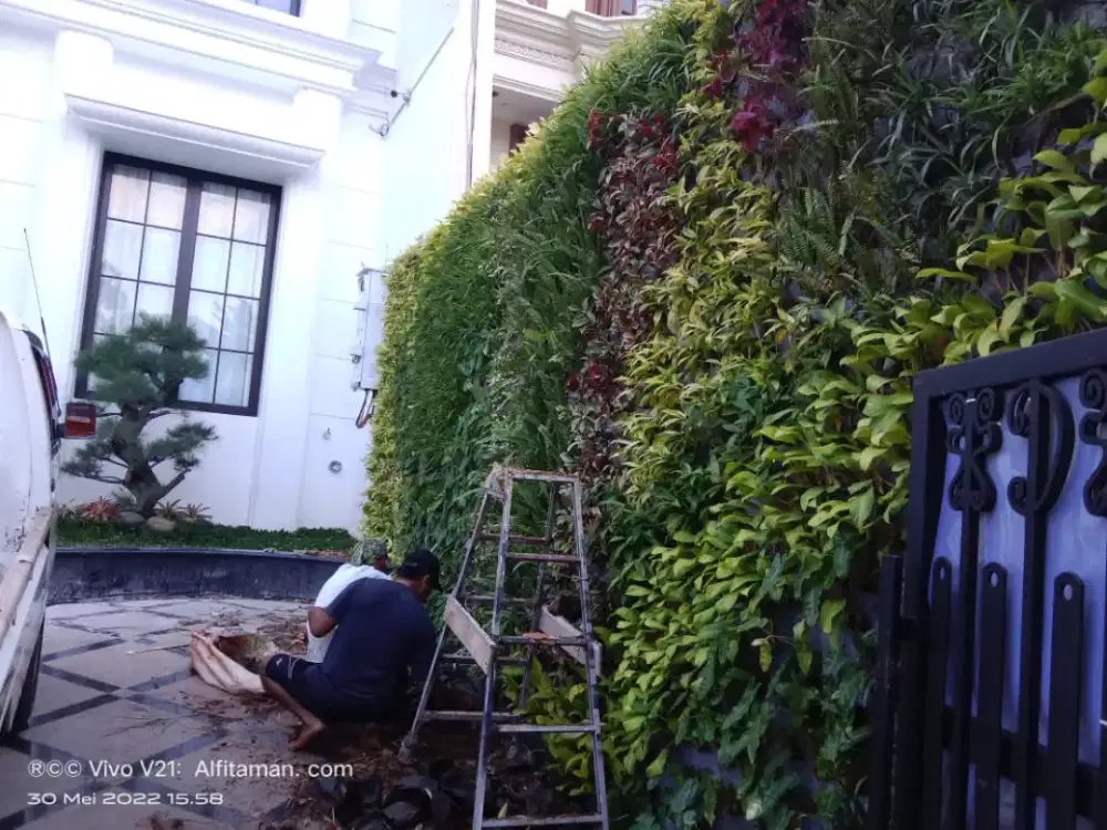 Merima pembuatan taman vertical garden
