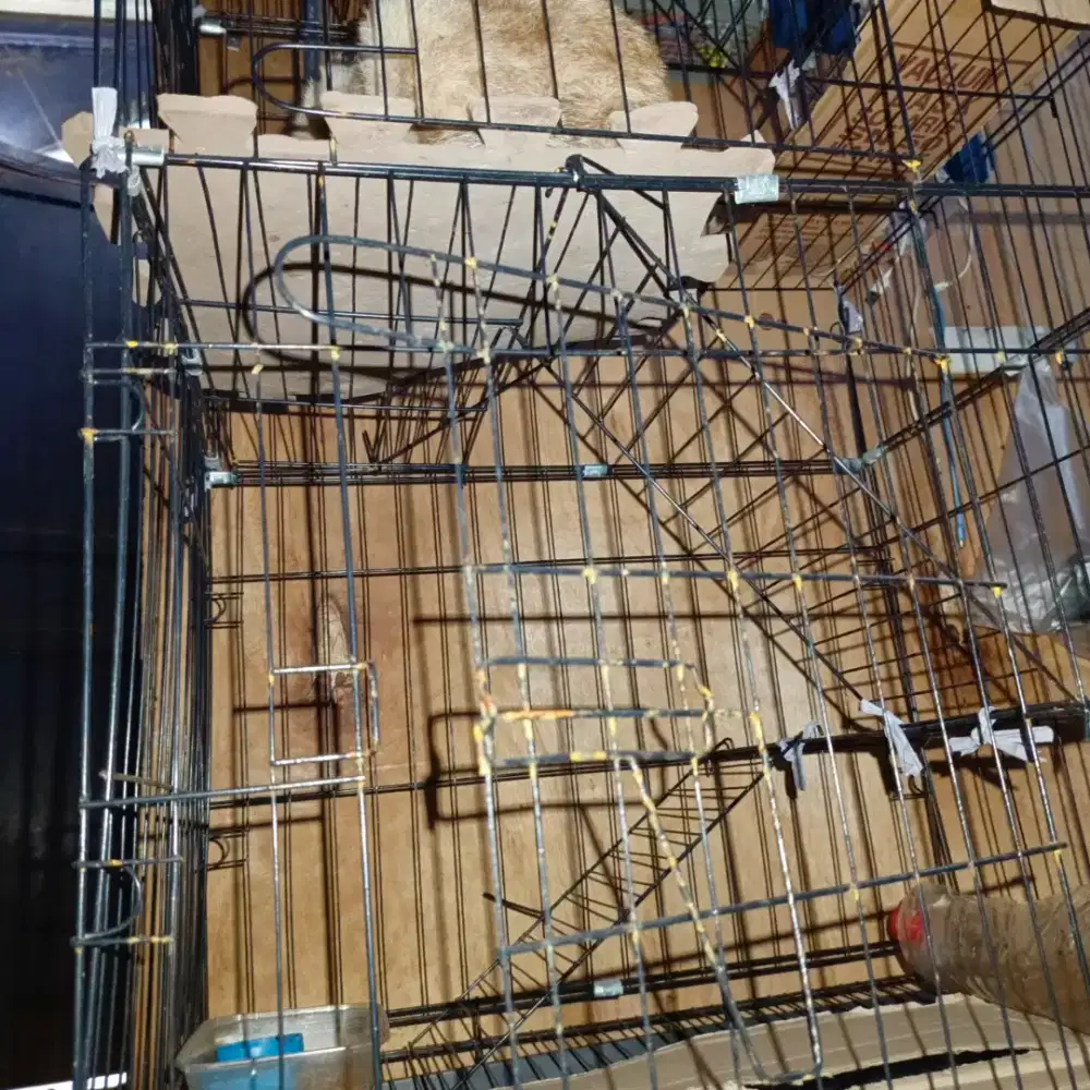 kandang kucing bekas 6 lantai 5 tingkat