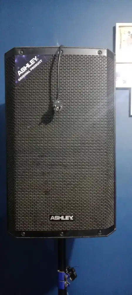 Speaker ASHLEY act600pro