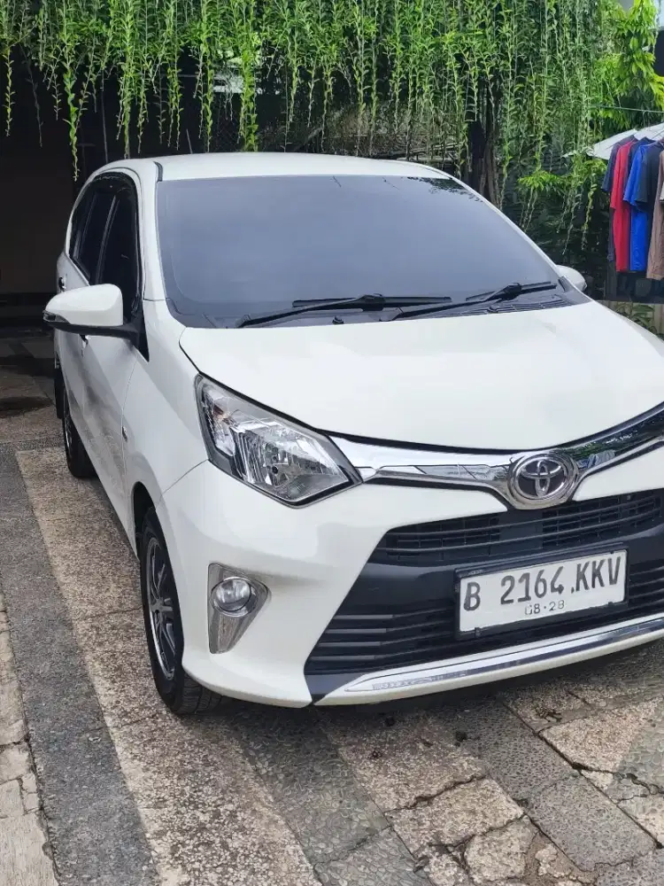 Cayla G 2018 AT warna favorit