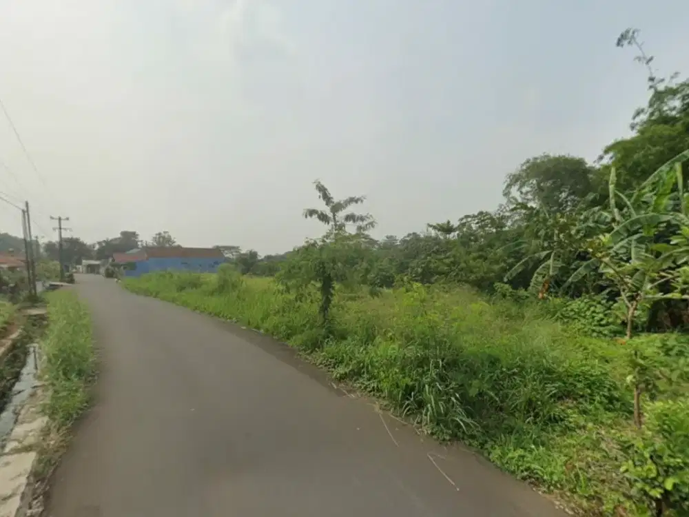 Jual Tanah di Bogor Pinggir Jalan 5 Ha, Ada Mata Air di kebun