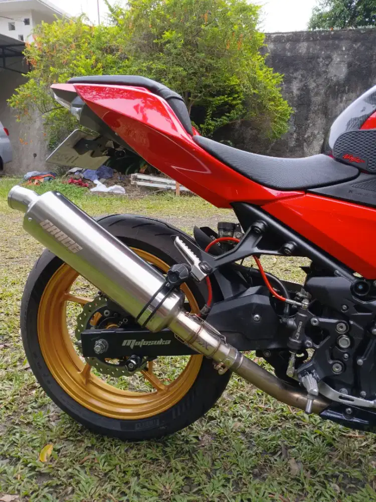 Kawasaki ALL NEW Ninja250 2019