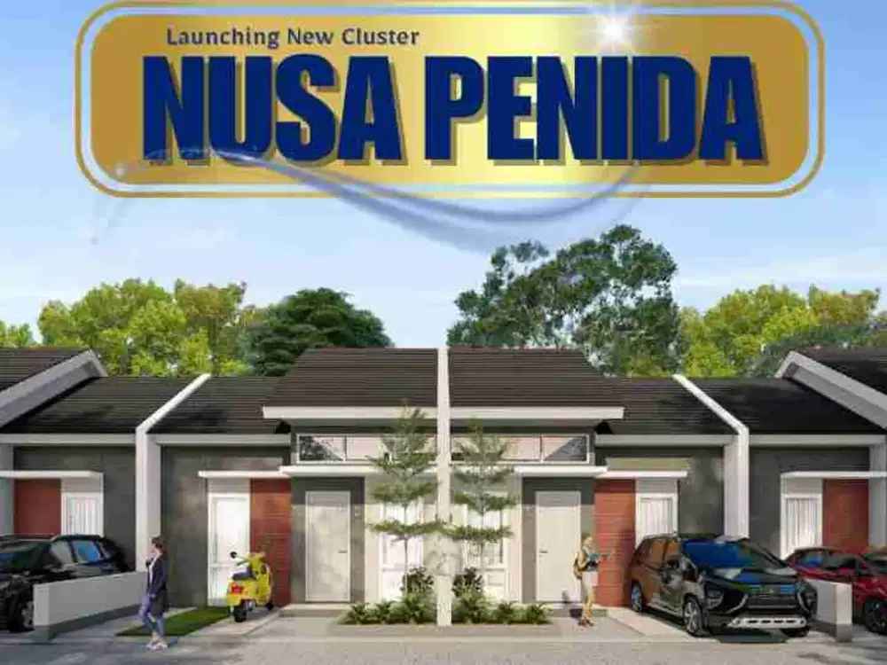 rumah subsidi dalam cluster