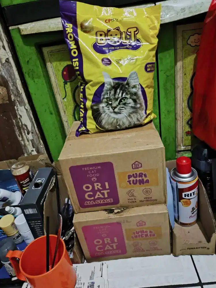 Kucing makanan kucing