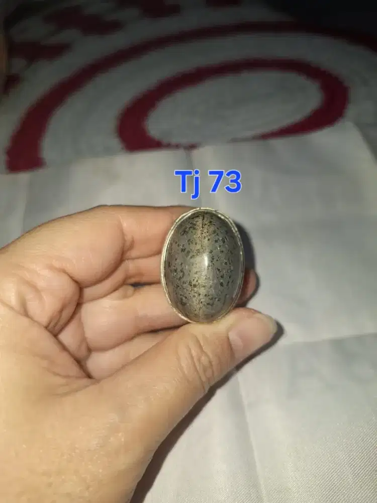 Batu cincin tapak jalak 
Hitam garis perak 
Tj 73 Ring perak alpaca 
B