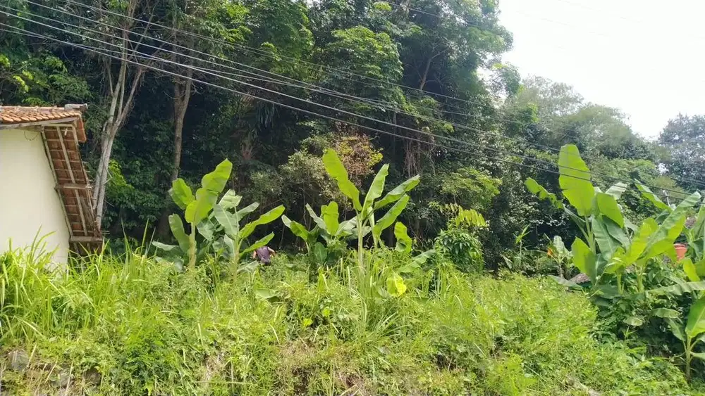 Tanah Strategis Luas Pinggir Jalan