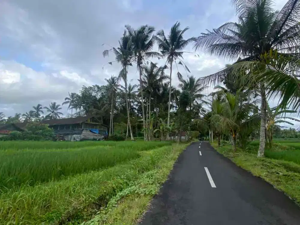 jual tanah dekat pasar penebel tabanan 26are view sawah