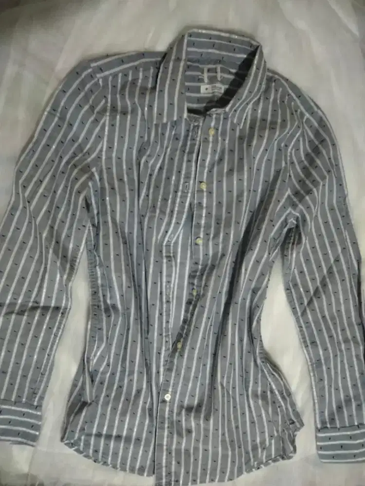 Blue fitted boyfriend - HSC 2025