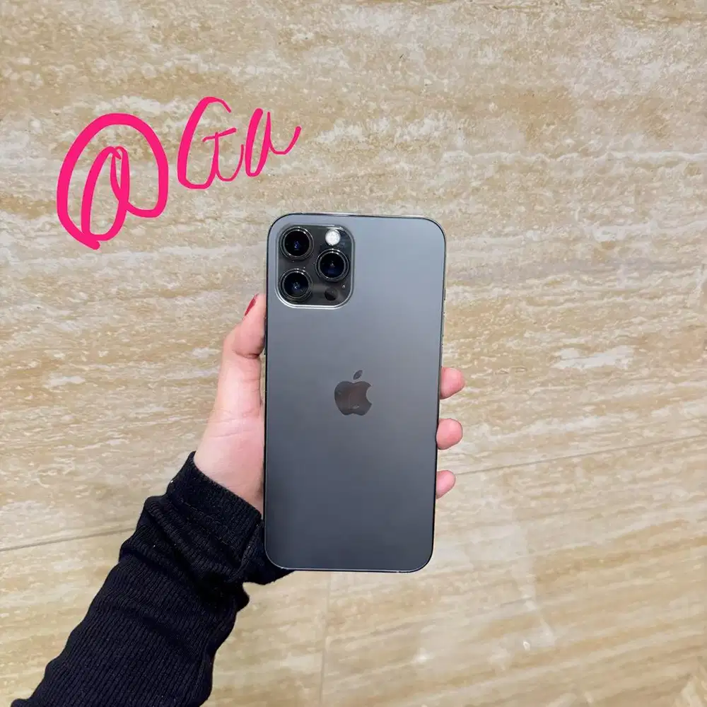 iphone 12 pro max 256gb grey normal ex inter