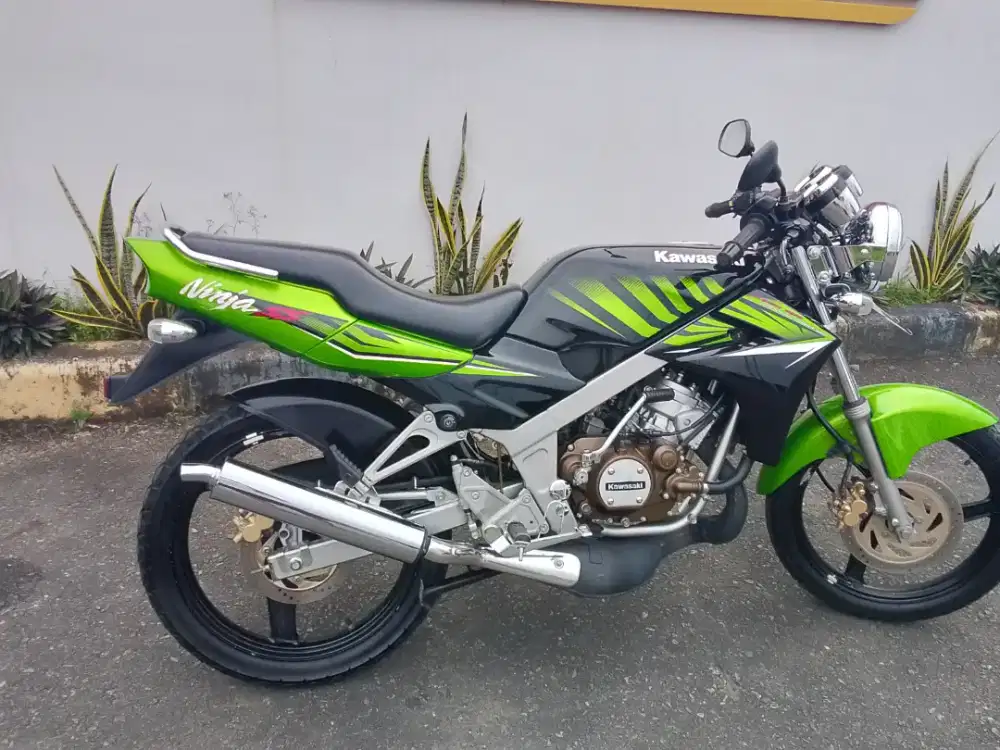 Ninja ss zebra Original