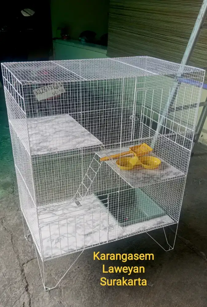 Kandang kucing tingkat