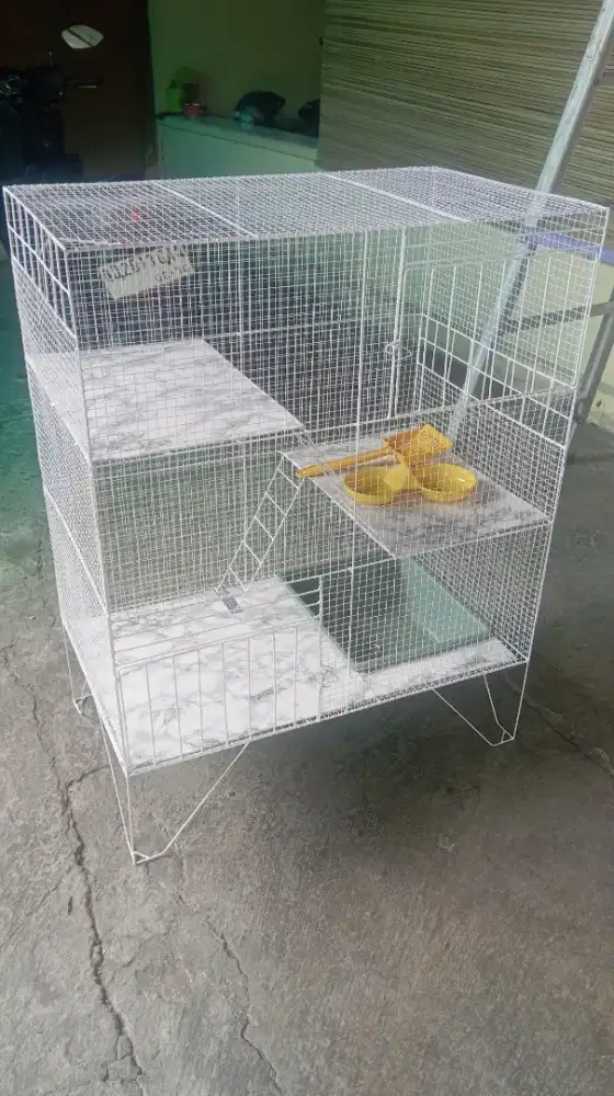 Kandang kucing tingkat