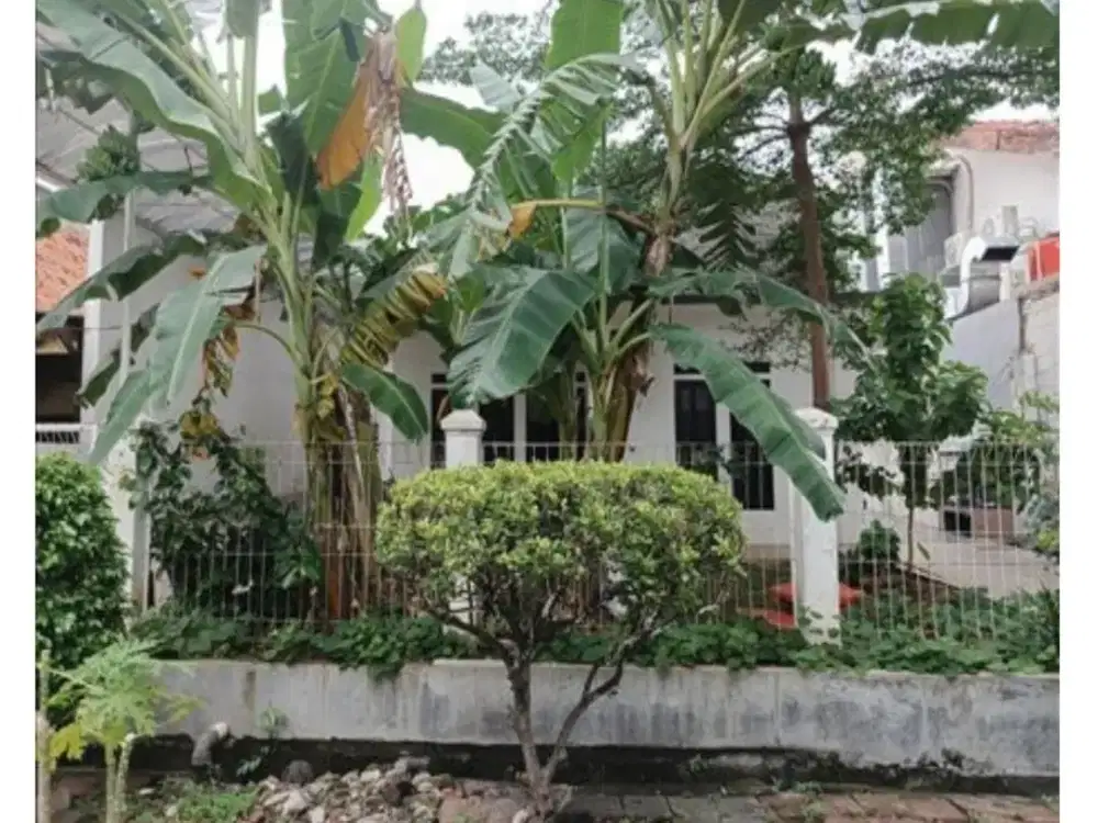 Di Jual Lelang Rumah Jalan Dr. Muwardi Grogol Petamburan, Jakarta Barat