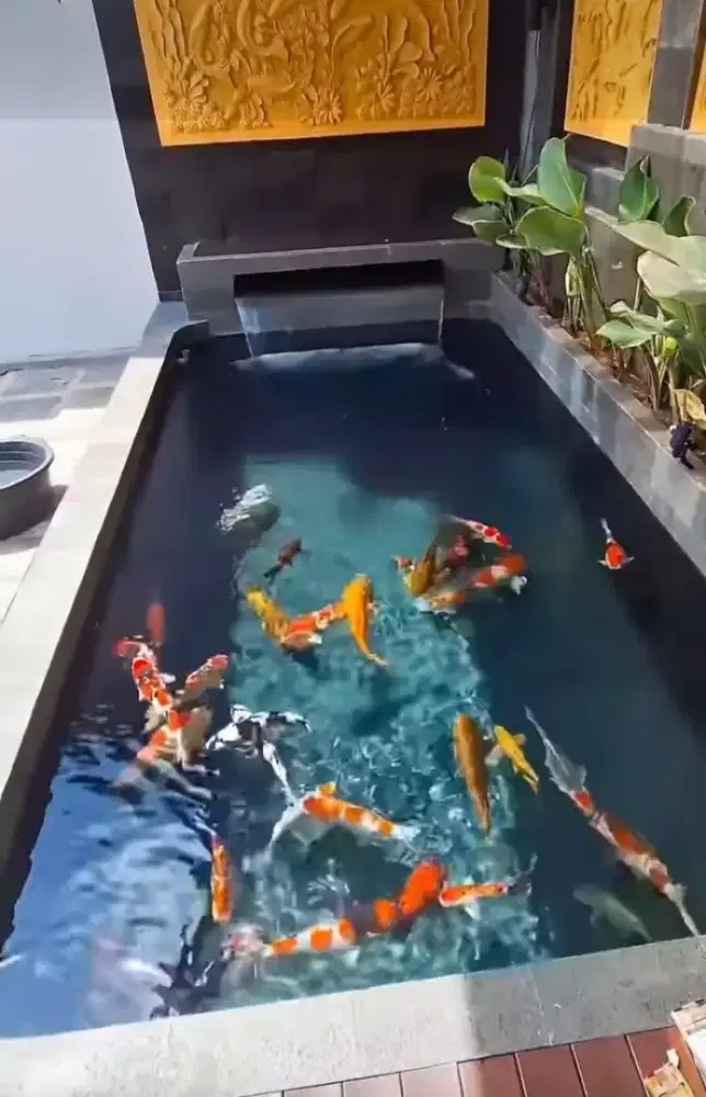 Kolam minimalis batu alam hias