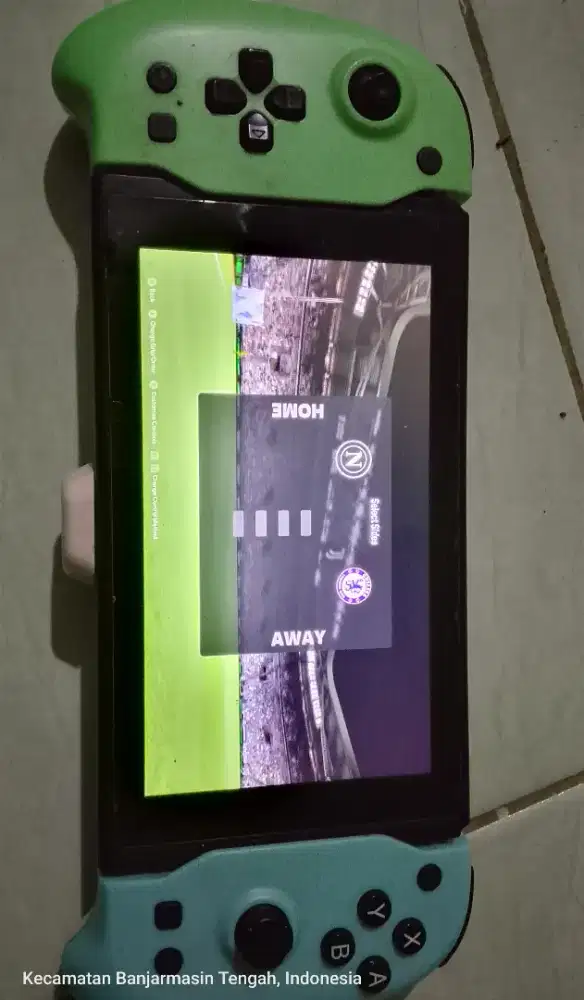 Nintendo switch animal crossing